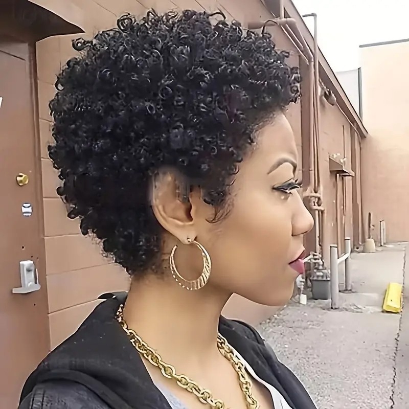 Women Classic Short Curly Afro Hair Wig, Synthetic Wigs, 6 Inch Black Burgundy