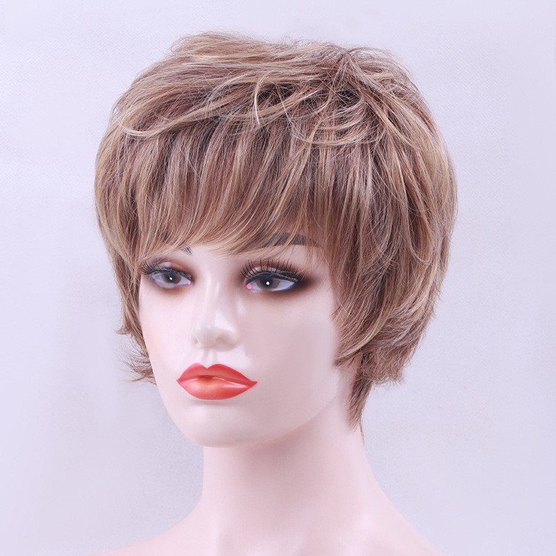 Factory Wholesale Spot Direct Sale Cross-border E-commerce Wigs for Women Short Hair European and American Style Synthetic High Temperature Silk Whole Top Head Cover