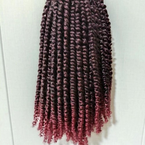 Crochet Double Strand Passion Braids